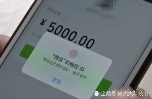 鴻蒙系統的挑戰 為何Teams安裝問題成為用戶關注的焦點
